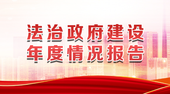 法治政府建设年度情况报告